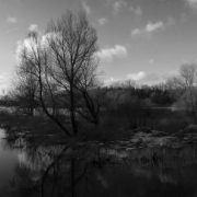 winter 2010