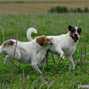 DJRTV 29.08.2010