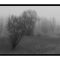 A Foggy Day - BW