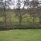 Cheshire Spring