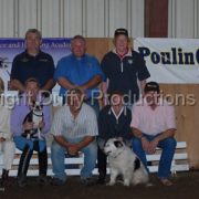 Sport Horse Science and Handling Academy