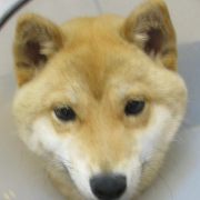 June 2011