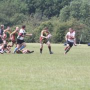 OLs 2011-12