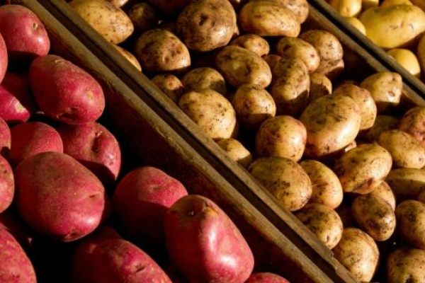 Total Produce UK