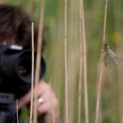 Workshop Macro 11-05-2012