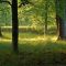 Natur