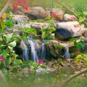 Natur