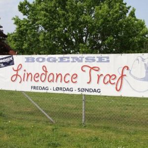 Bogense Linedancetræf 2014 - Bent - Fredag