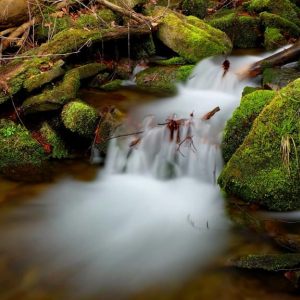 Wiosenne syte wodą beskidzkie potoki