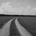 4jsranch