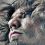 photos-gilr