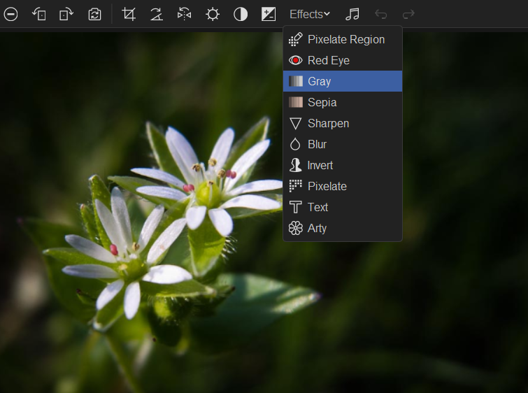 Image editing in jAlbum