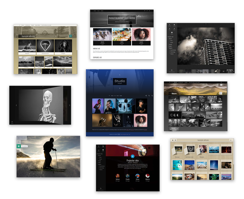 Sample galleries with various skins