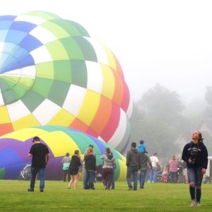 contest photos - 2024