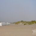 HORSEBACKFISHERMEN 572 - Belgium