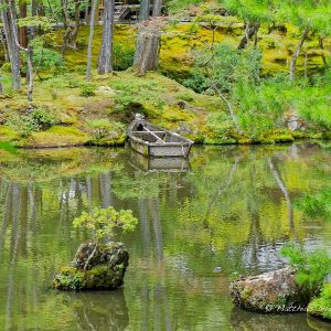Kyoto Moss Garden 2023