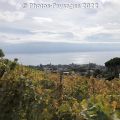 Automne-2022