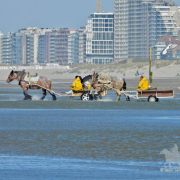 HORSEBACKFISHERMEN 555 - Belgium