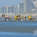 HORSEBACKFISHERMEN 555 - Belgium