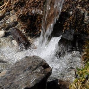 Water... l'eau