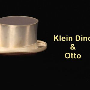 DinoOtto