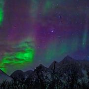 Lyngen