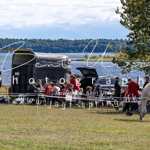 Jagt på bognæs 28.09.2025