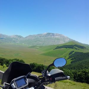 Raduno-Tiger_2014