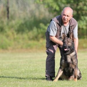 Hundesport