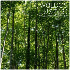 Waldes Lust 3