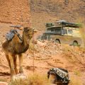 Morocco 2006