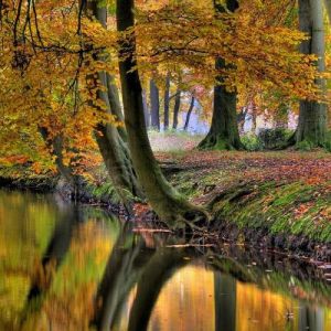 Colors of Fall