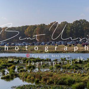 Ponyrævehalejagten 20.10.2024