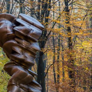 Skulpturenpark Waldfrieden in Wuppertal - Herbst 2015