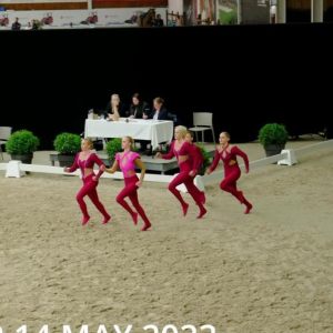 Vaulting Videos LIER 23 - Voltige video's LIER 2023