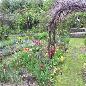 video La Vie en Roses