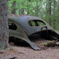 Dead Cars