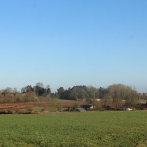 Oudenaarde 23-2-2025