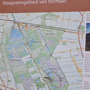 31.01.2026  Deurnsche Peel und Heidelandschaft. NL.