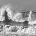 Jan 2022 Coast Trip