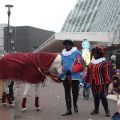 Sinterklaas intocht  Amersfoort 2013