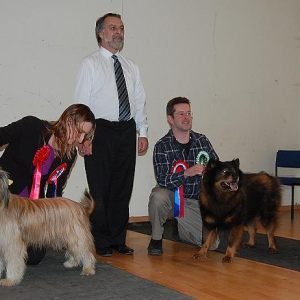 Breed Match