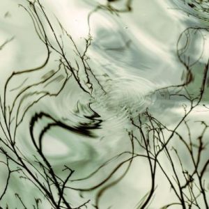Reflets d'eau.