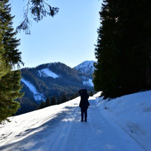 21. Tiroler Bordunmusik-Seminar Maria Waldrast - Impressionen, 2. bis 7.1.2024