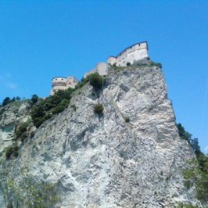 Radunotiger2011