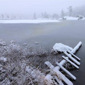The misty lakes of Dalarna
