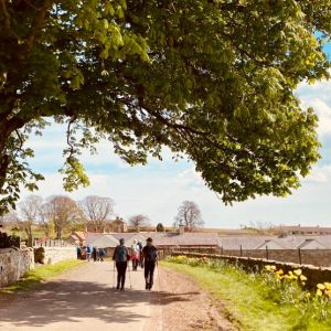 Redkite Ramblers