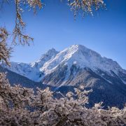 The irresistible magic of snow