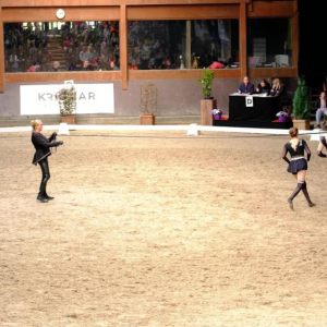 CVI PEER - GROTE BROGEL VIDEO