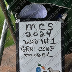 2024 Middleburg Classic Show